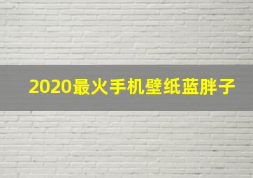 2020最火手机壁纸蓝胖子