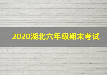 2020湖北六年级期末考试