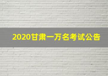 2020甘肃一万名考试公告