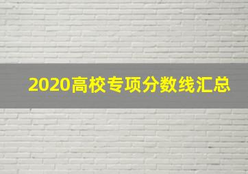 2020高校专项分数线汇总