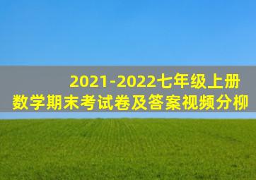 2021-2022七年级上册数学期末考试卷及答案视频分柳