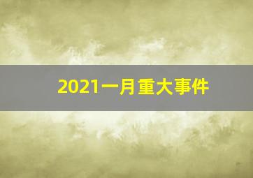 2021一月重大事件