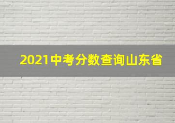 2021中考分数查询山东省