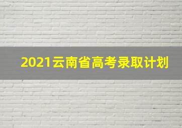 2021云南省高考录取计划