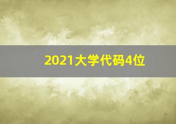 2021大学代码4位