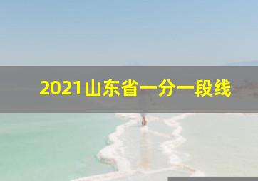 2021山东省一分一段线