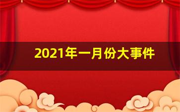 2021年一月份大事件