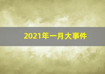 2021年一月大事件