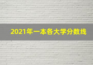 2021年一本各大学分数线