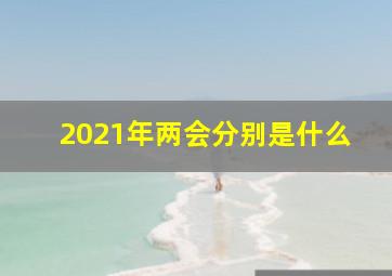 2021年两会分别是什么