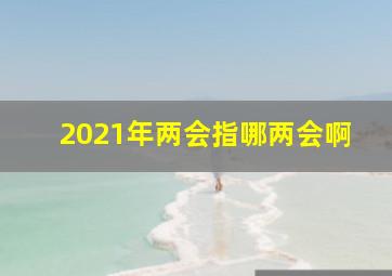 2021年两会指哪两会啊