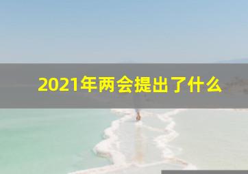 2021年两会提出了什么