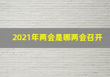 2021年两会是哪两会召开