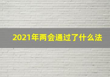 2021年两会通过了什么法