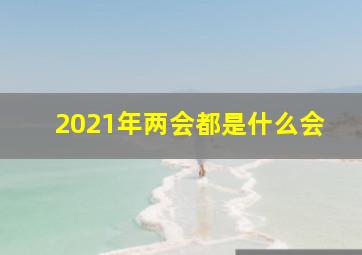 2021年两会都是什么会