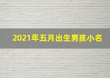 2021年五月出生男孩小名