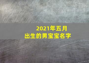 2021年五月出生的男宝宝名字