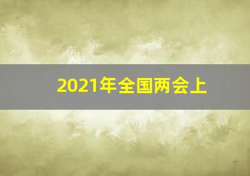 2021年全国两会上