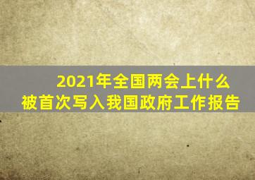 2021年全国两会上什么被首次写入我国政府工作报告