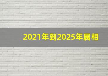 2021年到2025年属相