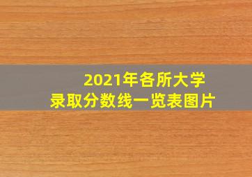 2021年各所大学录取分数线一览表图片