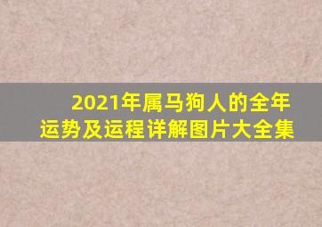 2021年属马狗人的全年运势及运程详解图片大全集