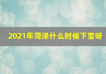 2021年菏泽什么时候下雪呀