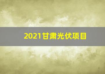 2021甘肃光伏项目