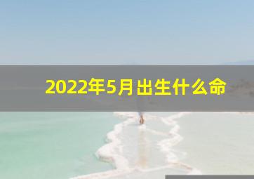 2022年5月出生什么命