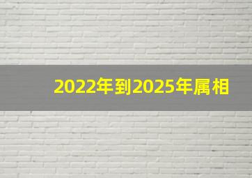 2022年到2025年属相