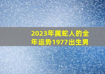 2023年属蛇人的全年运势1977出生男