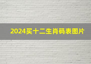 2024买十二生肖码表图片