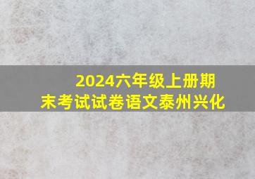 2024六年级上册期末考试试卷语文泰州兴化