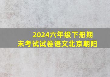 2024六年级下册期末考试试卷语文北京朝阳