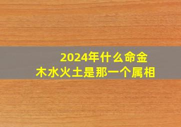 2024年什么命金木水火土是那一个属相