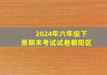 2024年六年级下册期末考试试卷朝阳区