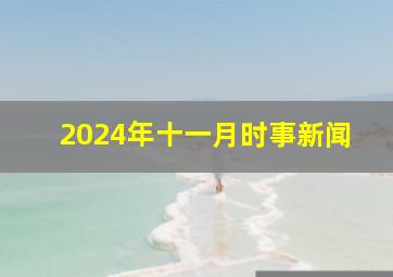 2024年十一月时事新闻