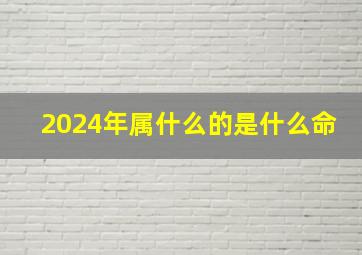 2024年属什么的是什么命