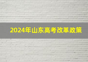 2024年山东高考改革政策