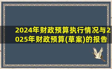 2024年财政预算执行情况与2025年财政预算(草案)的报告