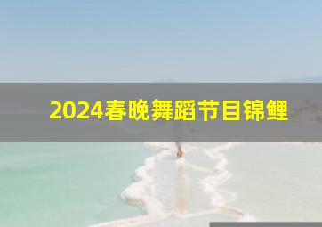 2024春晚舞蹈节目锦鲤