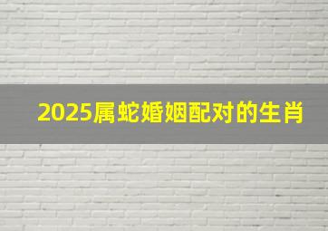 2025属蛇婚姻配对的生肖