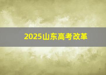 2025山东高考改革