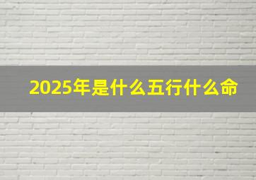 2025年是什么五行什么命