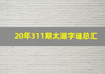 20年311期太湖字谜总汇