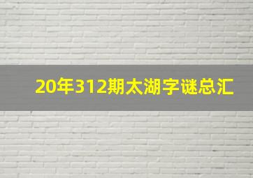 20年312期太湖字谜总汇