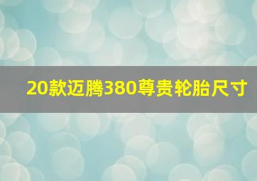 20款迈腾380尊贵轮胎尺寸