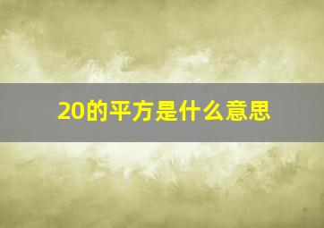 20的平方是什么意思