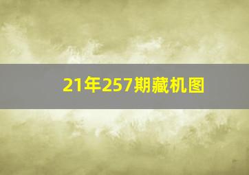 21年257期藏机图