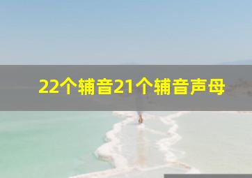 22个辅音21个辅音声母